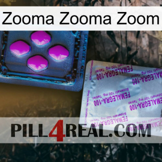 Zooma Zooma Zoom 37